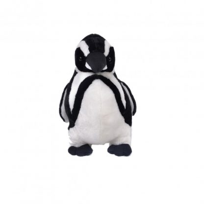 9024
